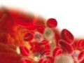 利用实验鼠的iPS细胞高效制造造血干细胞技术