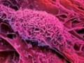 干细胞能存活多久？