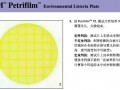 3M耗材系列 3M环境李斯特菌测试片