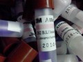 生物指示剂