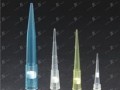 移液器吸头（1000ul）滤芯吸头报价