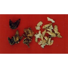 白芨(白根、白给、白及、甘根、连及、白给、箬兰、朱兰)