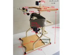 新款儿童双人站立训练中风