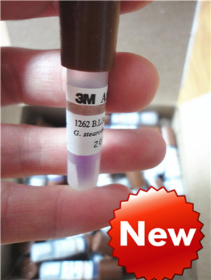 1262 圆 new 5