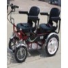 海波 811B-D双人电动代步车 残疾人、老年人用