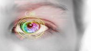 PNAS：为何动物能看见物体？