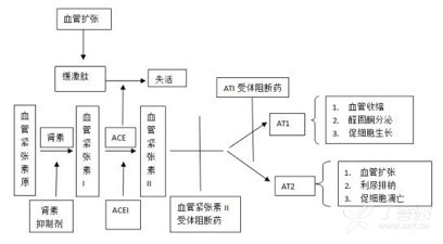 担心 ACEI 不耐受?直接「首选」ARB 类行不行