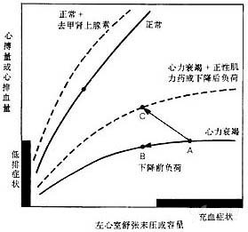 别光记心衰口诀：强心药活学活用 3 大注意