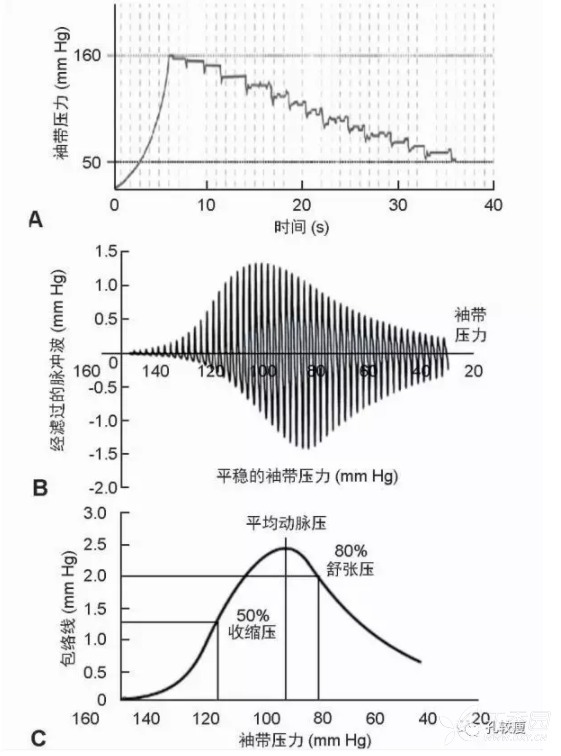 电子血压计 vs 水银柱血压计：究竟哪个好？