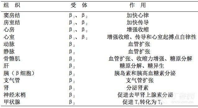 降压必备：β 受体阻滞剂  这 7 条用药建议需记住