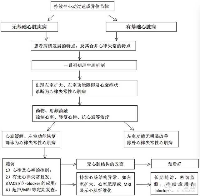 一图总结：心律失常性心肌病的处理流程