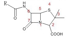 青霉素皮试阳性 能否继续用头孢？