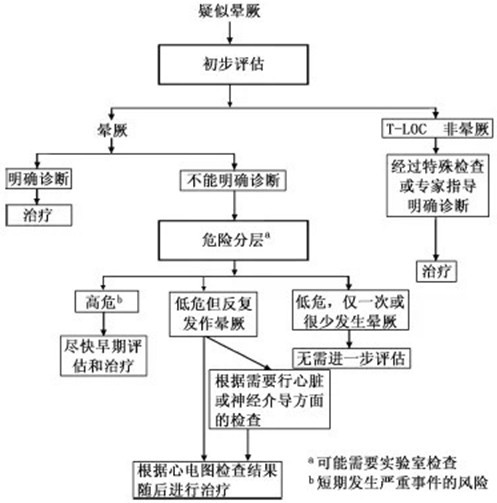 快速上手指南：晕厥诊断与治疗