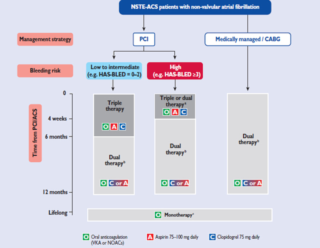 ESC2015 指南: 非 ST 段抬高型急性冠脉综合征（中文版）
