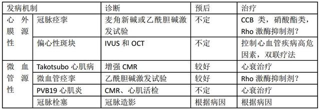 非阻塞性冠脉粥样硬化所致急性心肌梗死的机制和治疗