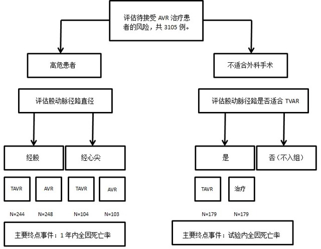 正方观点：低危或年轻患者适用经导管主动脉瓣置换术