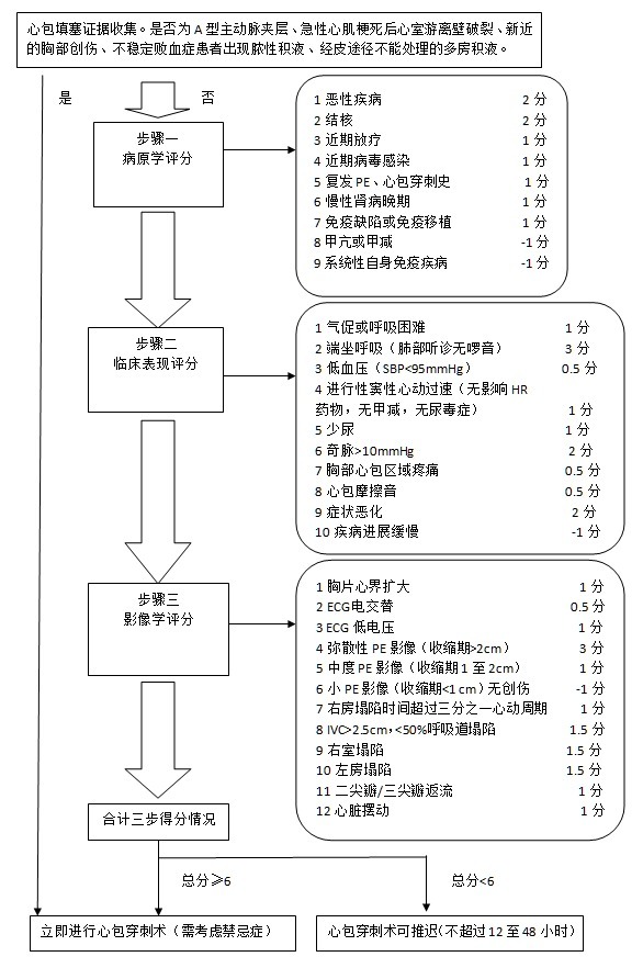 欧洲心包填塞治疗及评分指南(视频+图文)