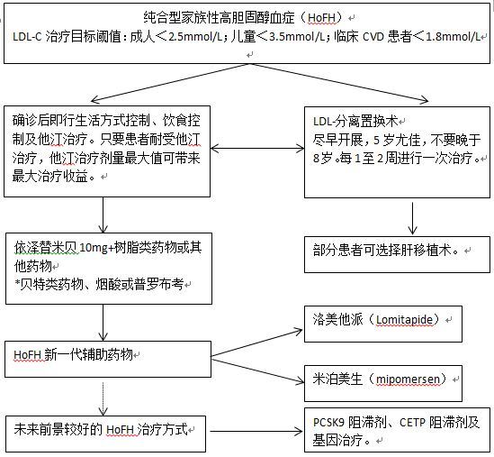 纯合型家族性高胆固醇血症诊疗欧洲指南意见书