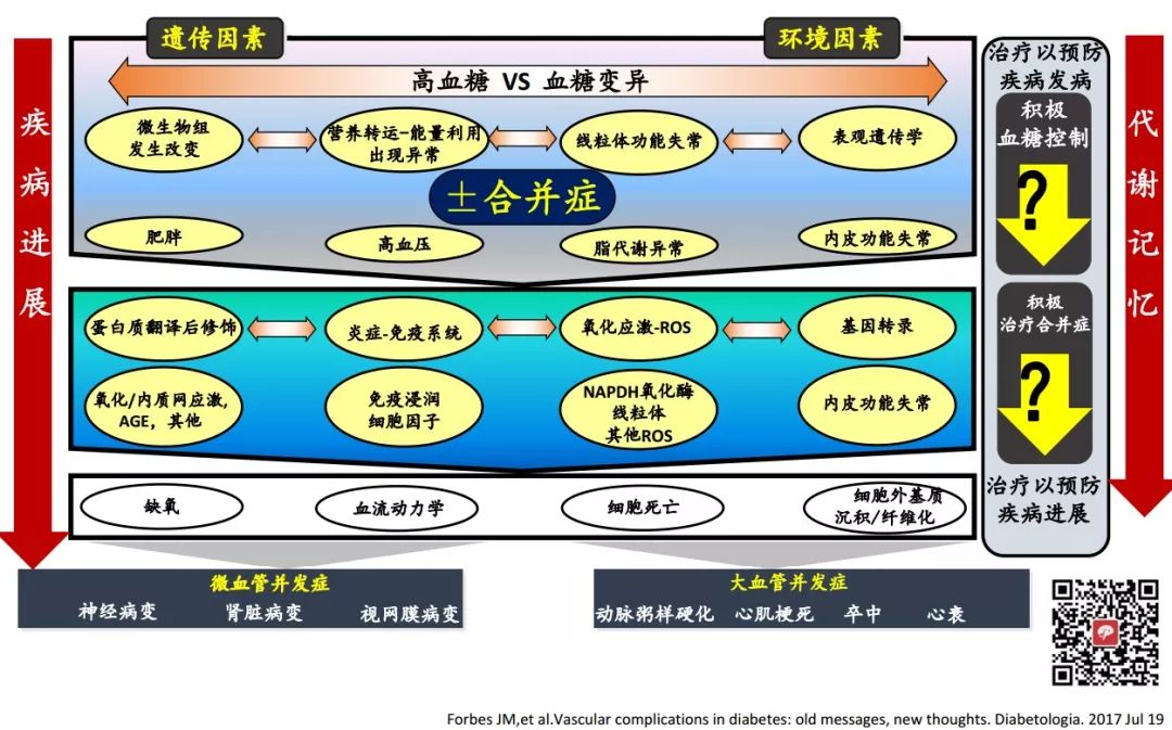 图文详解：糖尿病血管并发症研究进展 4 大要点