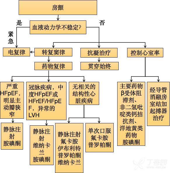 急性房颤处理：一图牢记流程