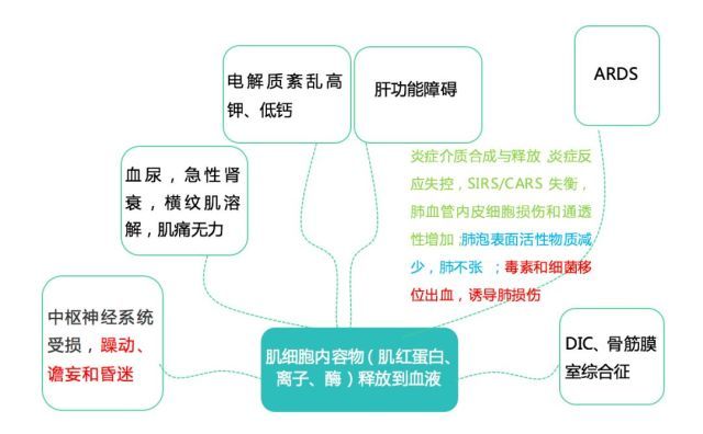 人们常说的「中暑」有多可怕？搞清从中暑到热射病很重要！