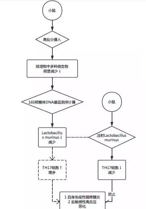 盘点：回眸 2017 高血压领域热点