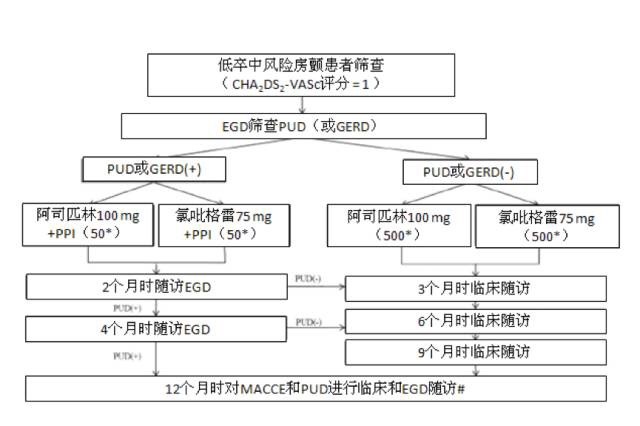 CESAC-AF试验：预防卒中疗效，氯吡格雷vs阿司匹林