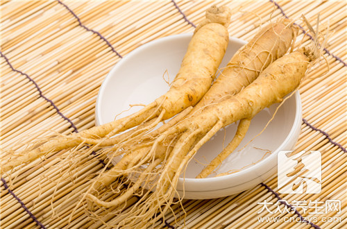 太子参煲什么好