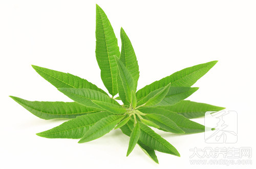 有哪些解毒的中草药