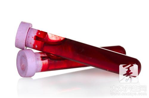  补血补气泡水喝的药材