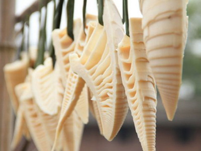 广州儿童患白癜风怎样治疗能早日恢复