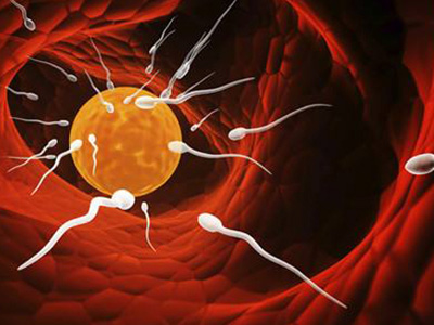 试管婴儿费用的影响因素有什么?