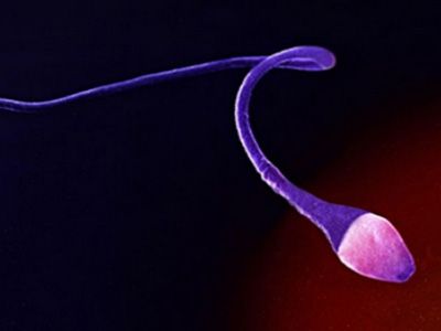 一般多少岁还能做试管婴儿?