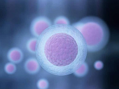 试管婴儿孕育宝宝需要检查哪些激素?