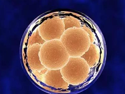 去泰做试管婴儿需要多少费用?为什么大家花的不同