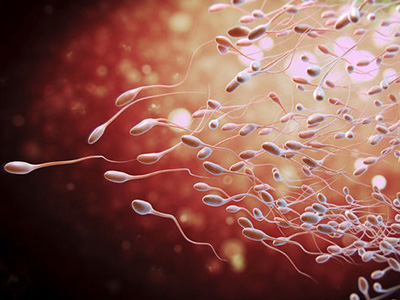 为什么很多人去泰试管婴儿?不看后悔