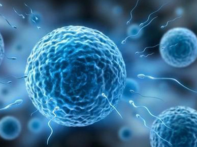 二代试管婴儿辅助男性精子不合格患者