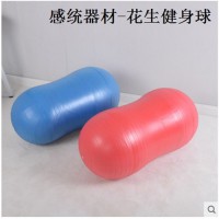 幼儿园儿童加厚防爆健身球感统训练器材康复平衡按摩球