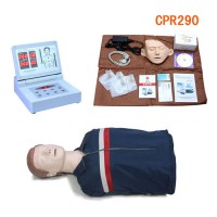 医用急救人体模型  HM/CPR290标配/半身牛津袋装