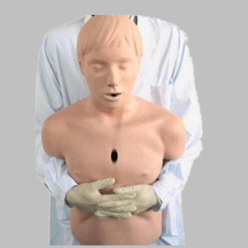 沪模 HM/CPR155 高级成人气道梗塞及CPR模型
