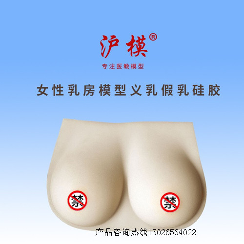 沪模 HM/F7F女性乳房模型义乳假乳硅胶