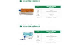 压力蒸汽灭菌灭菌效果监测快速生物指示剂